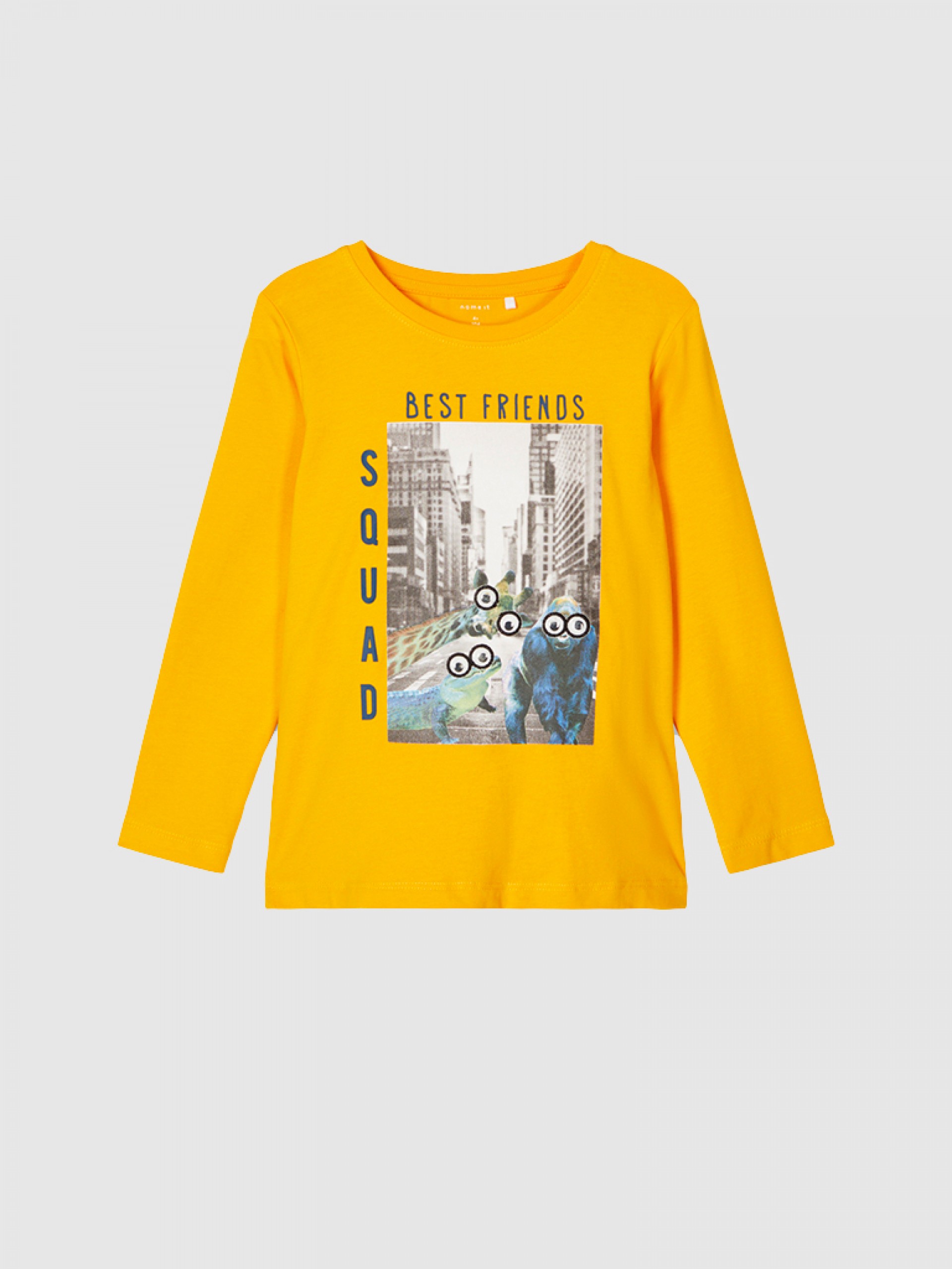 Sweatshirt Niño Name It