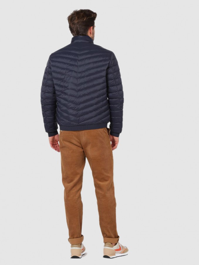 Jacket Man Armani Exchange