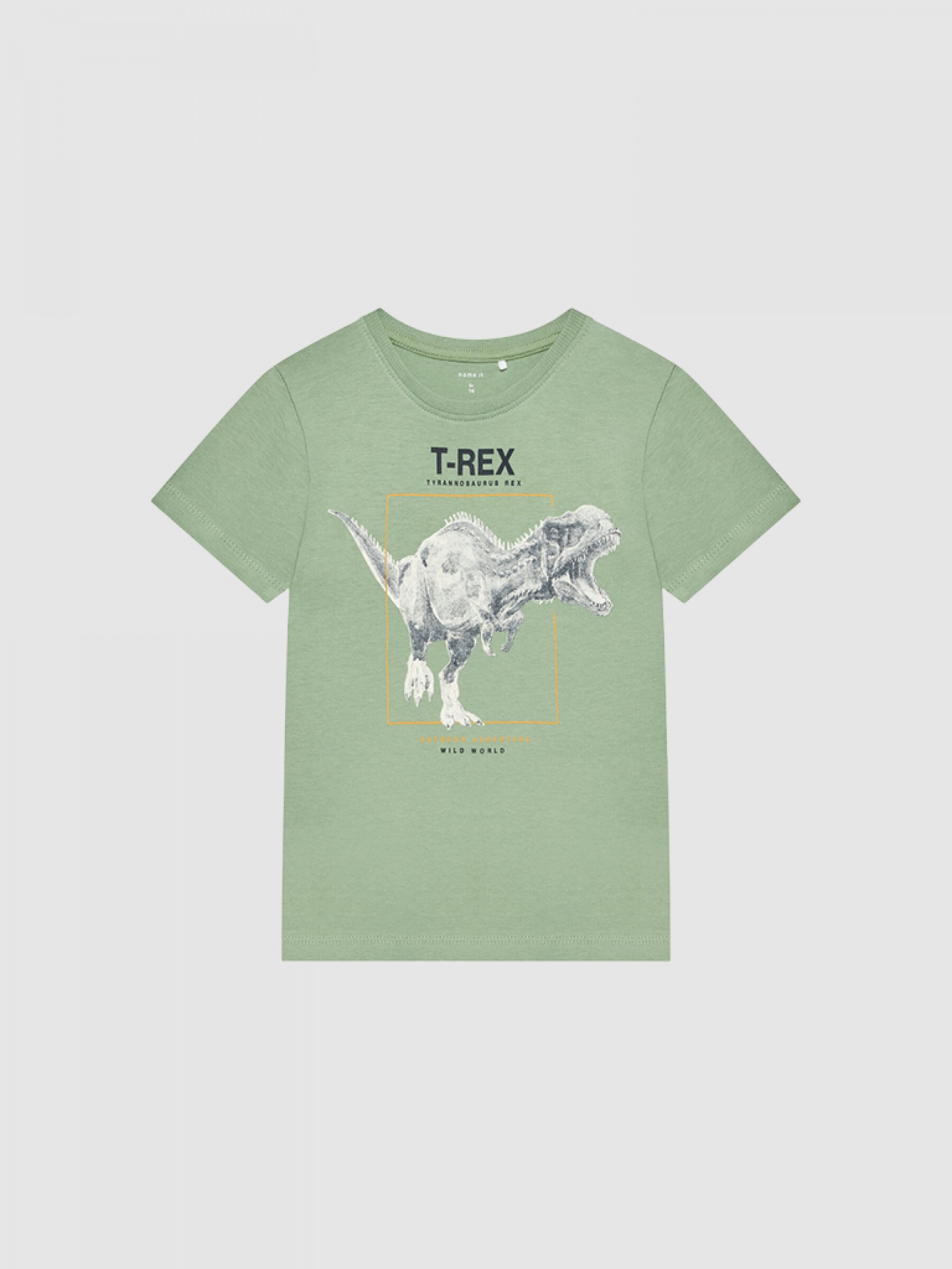 Camiseta Niño Name It