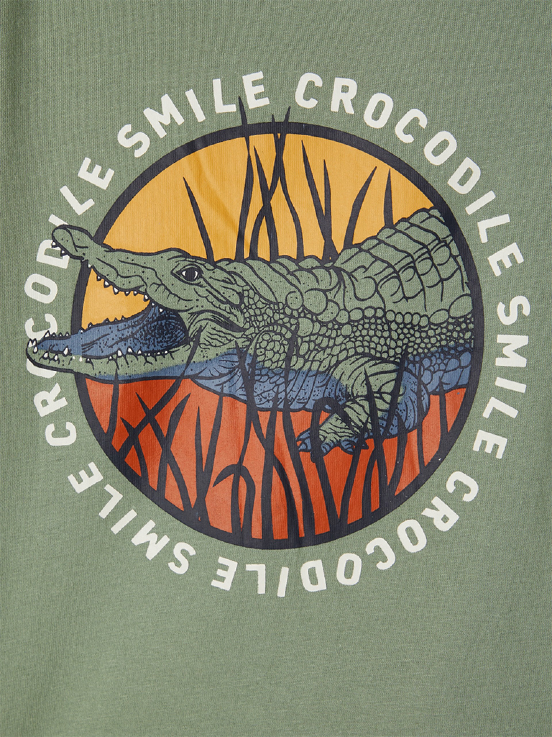 Camiseta Niño Name It