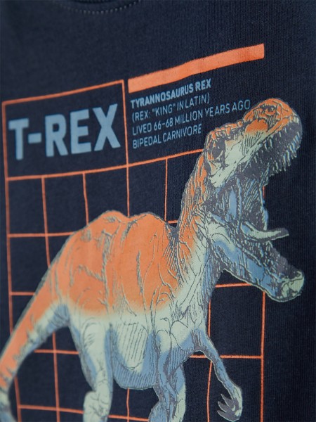 T-Shirt Boy Name It
