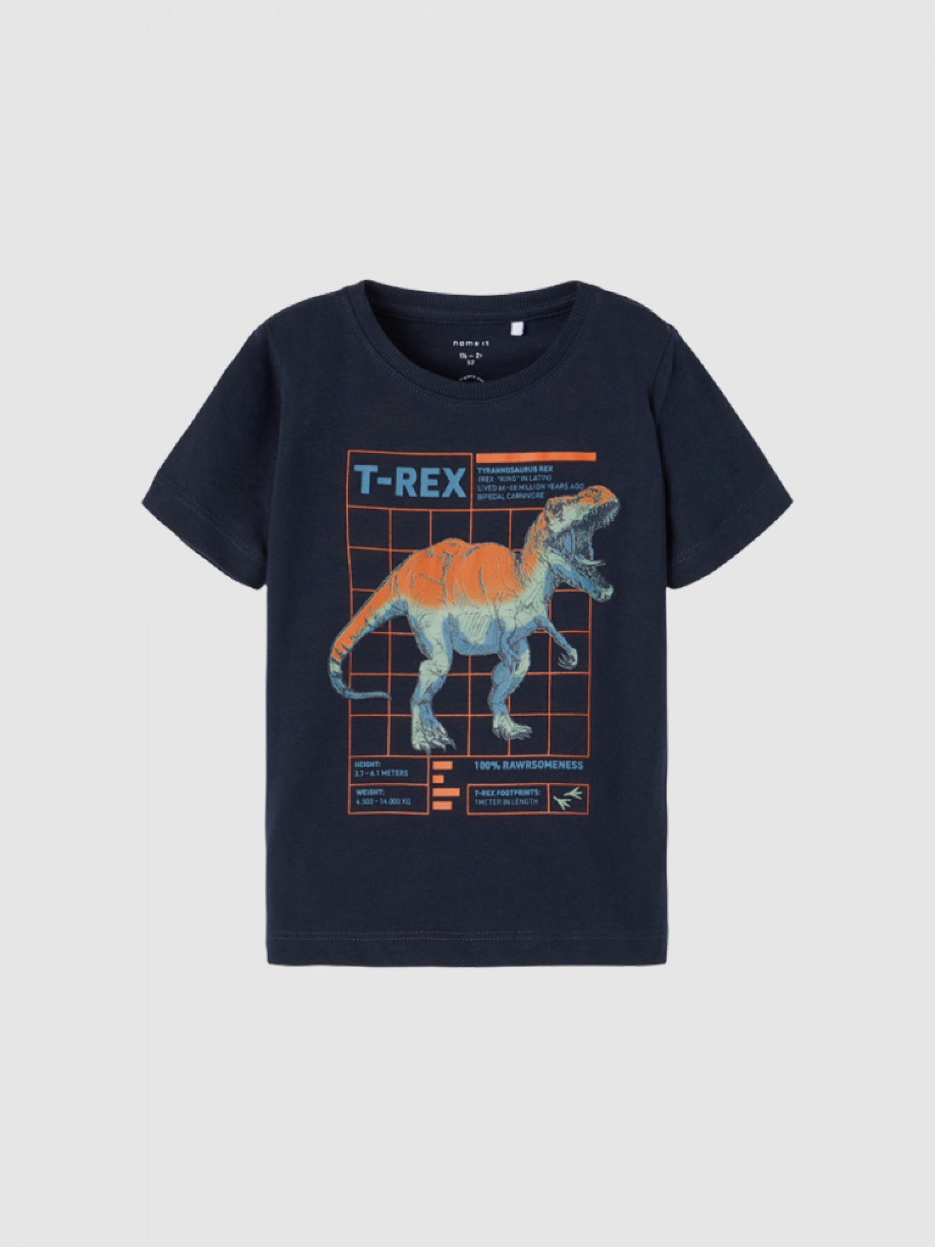 Camiseta Niño Name It