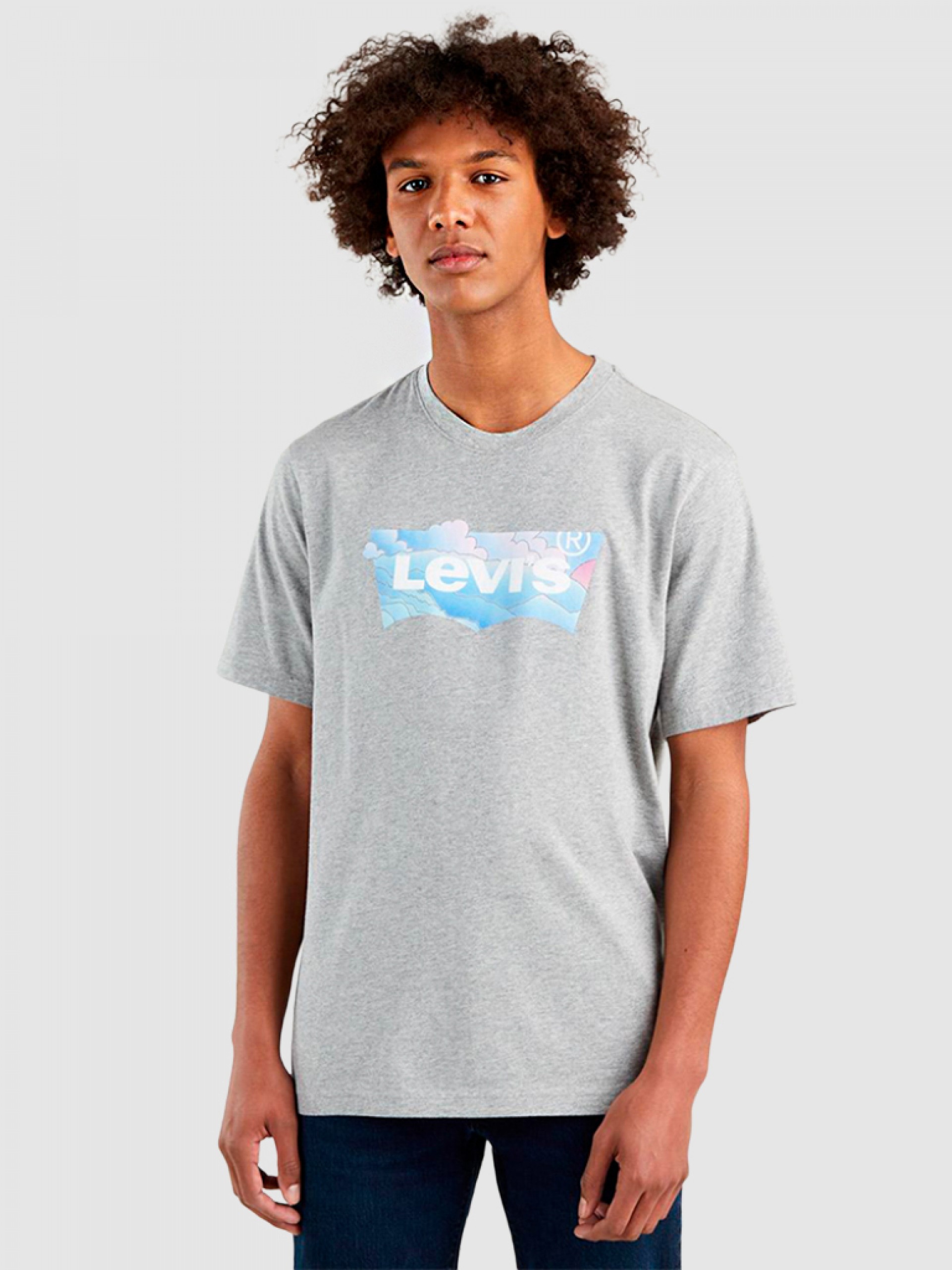 Camiseta Hombre Levis
