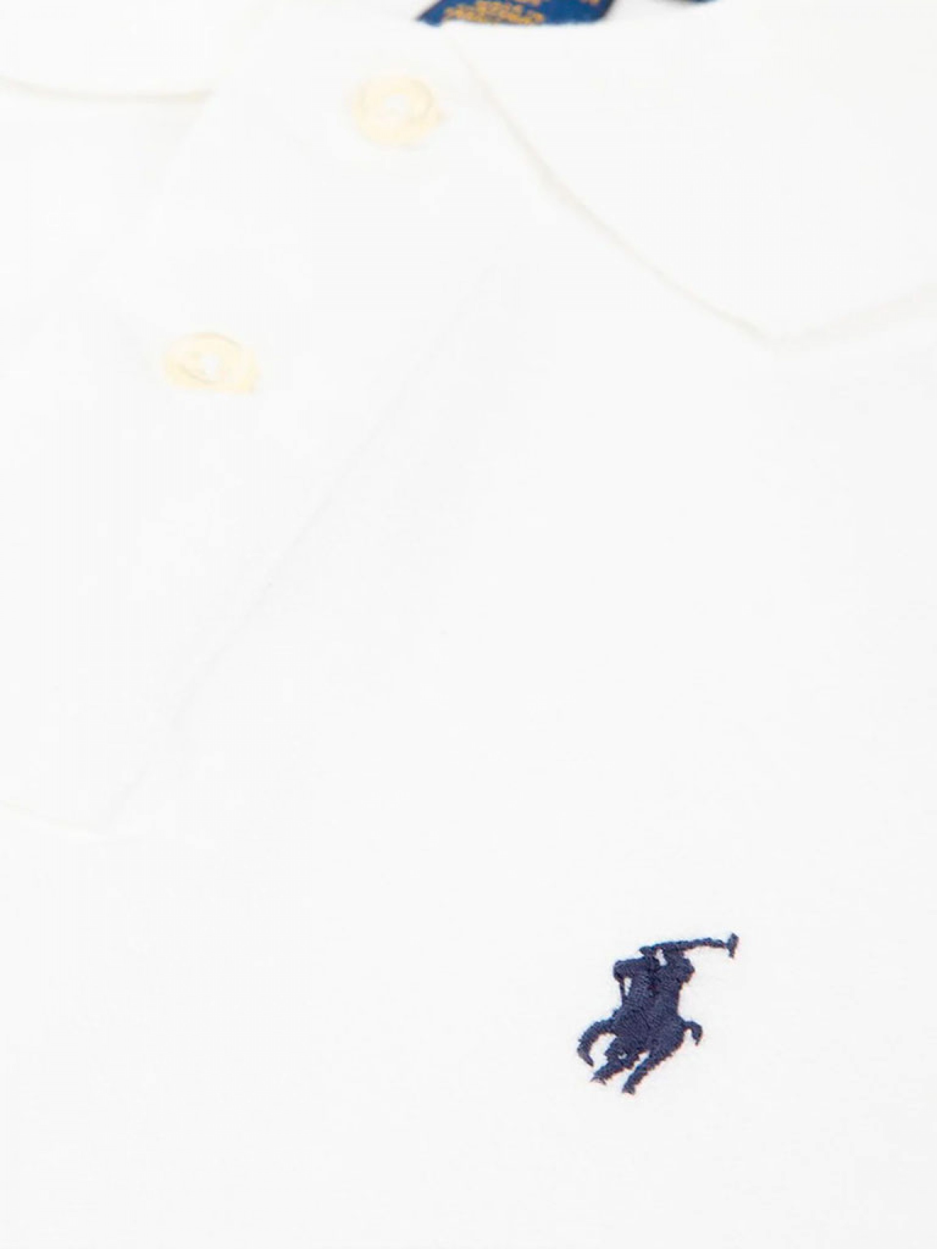 Polo Shirt Boy Ralph Lauren Kids