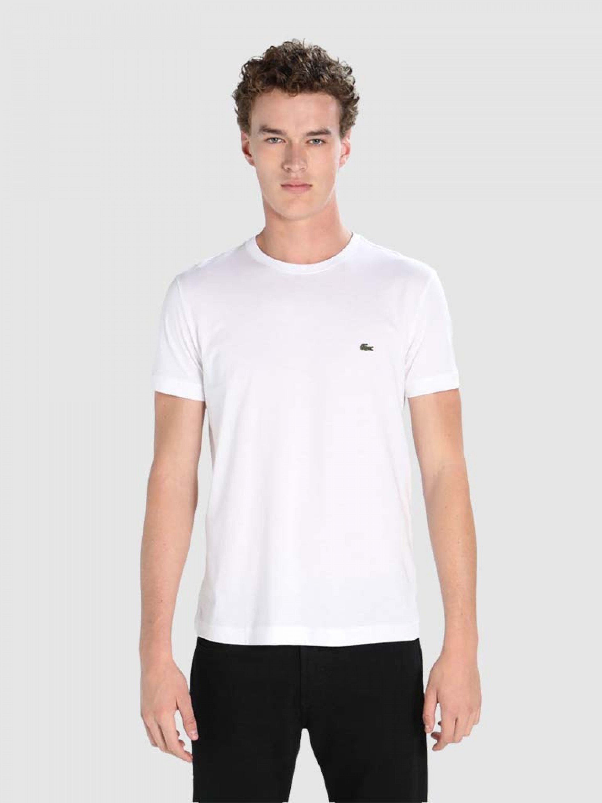 T-Shirt Man Lacoste