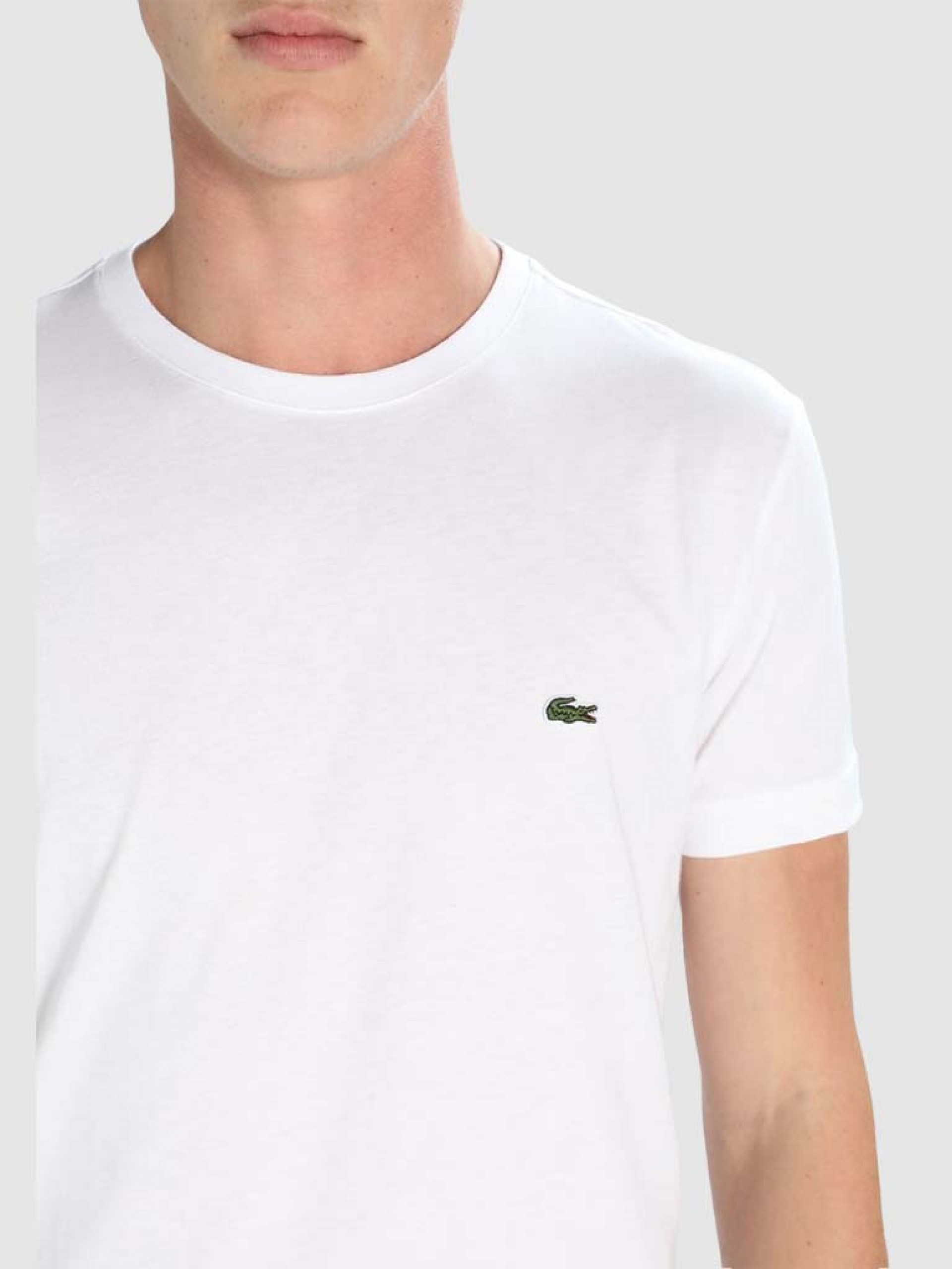 T-Shirt Man Lacoste