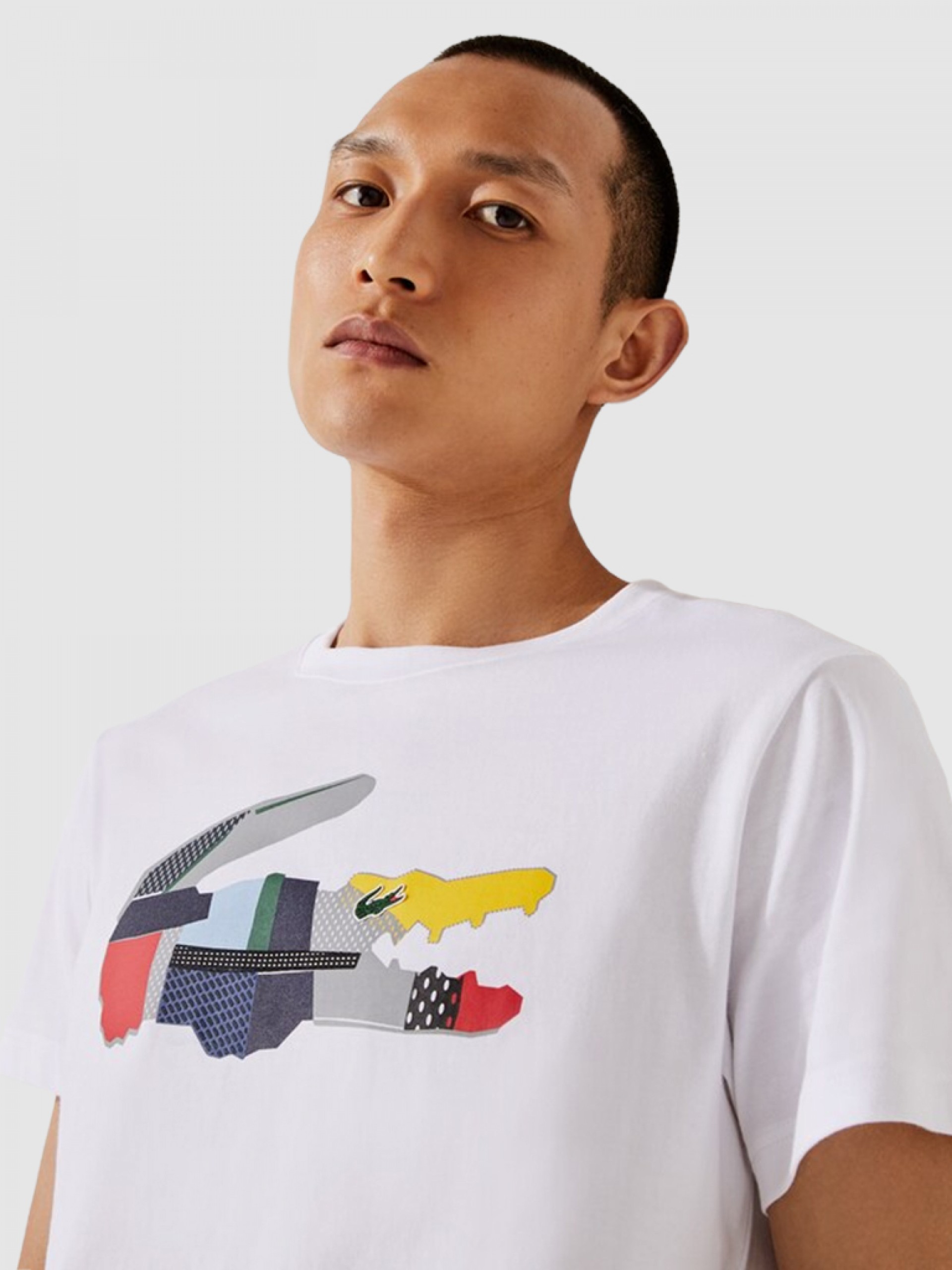 Camiseta Hombre Lacoste
