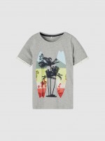 Camiseta Niño Gris Name It Camiseta Niño Gris Name It