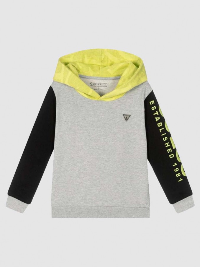 Sweatshirt Boy Grey Guess