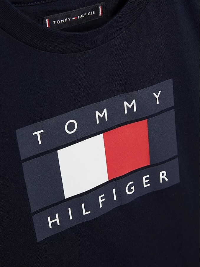 Camiseta Niño Tommy Jeans Kids