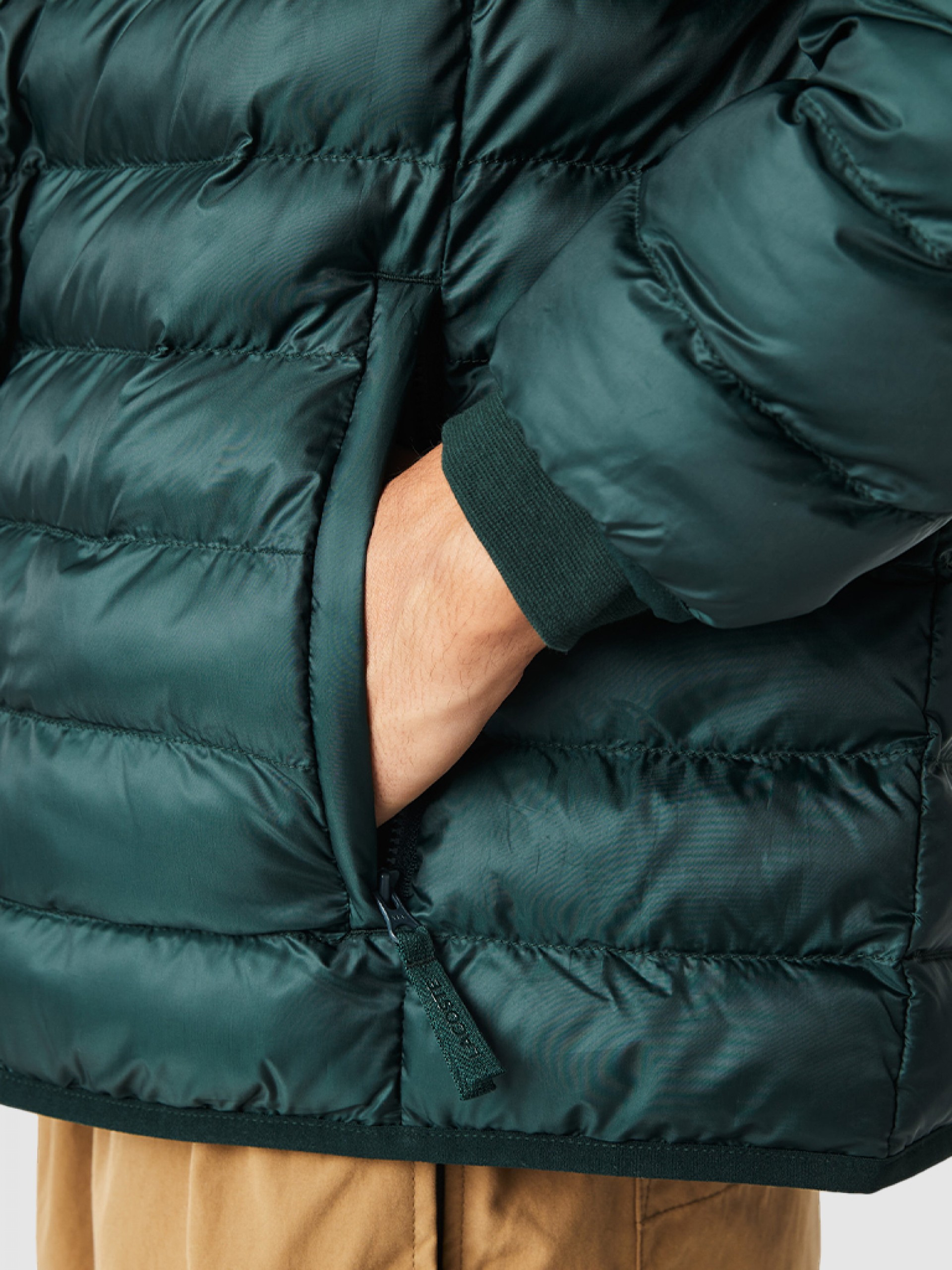 Chaqueta Hombre Lacoste