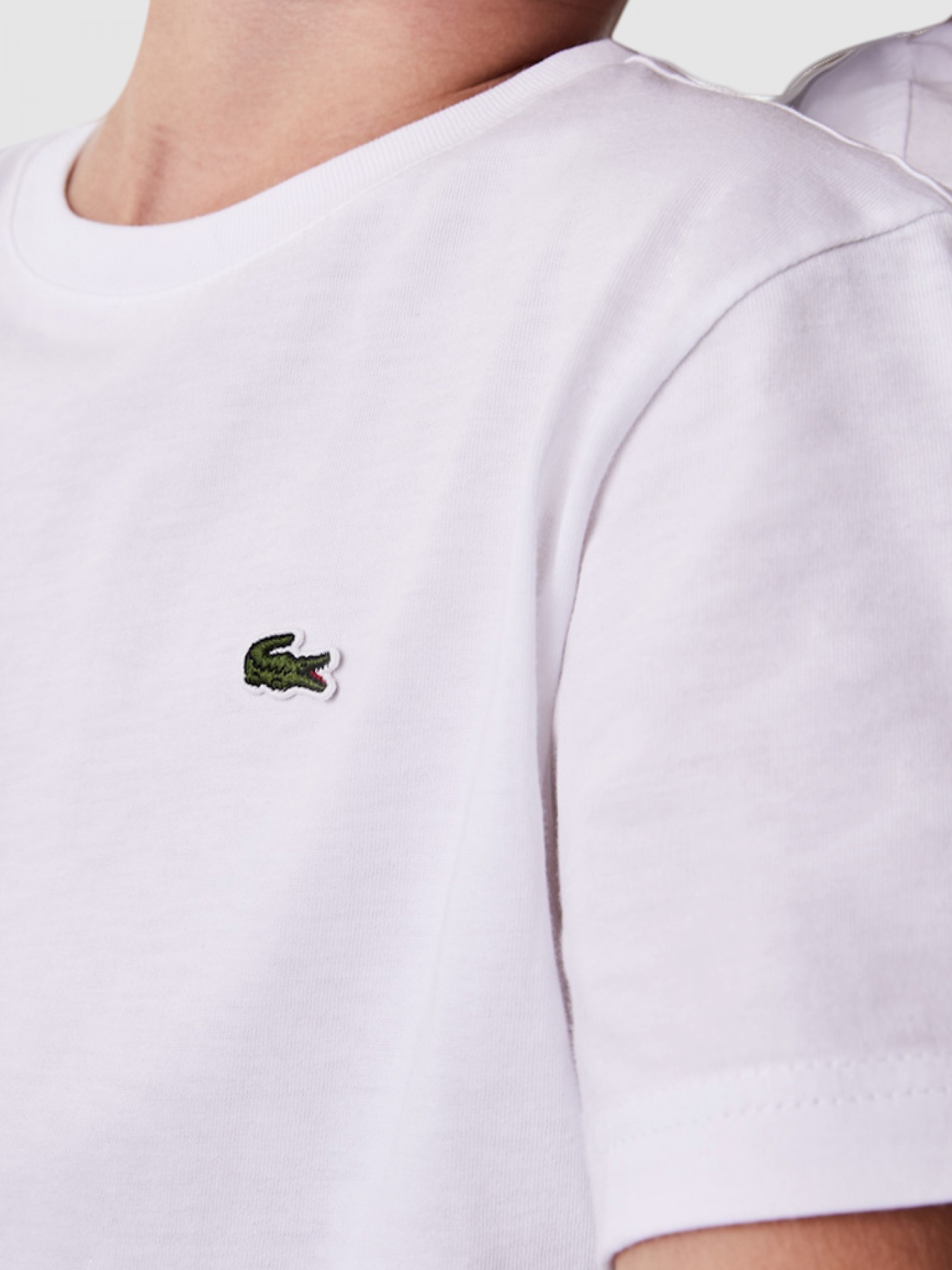T-Shirt Boy Lacoste