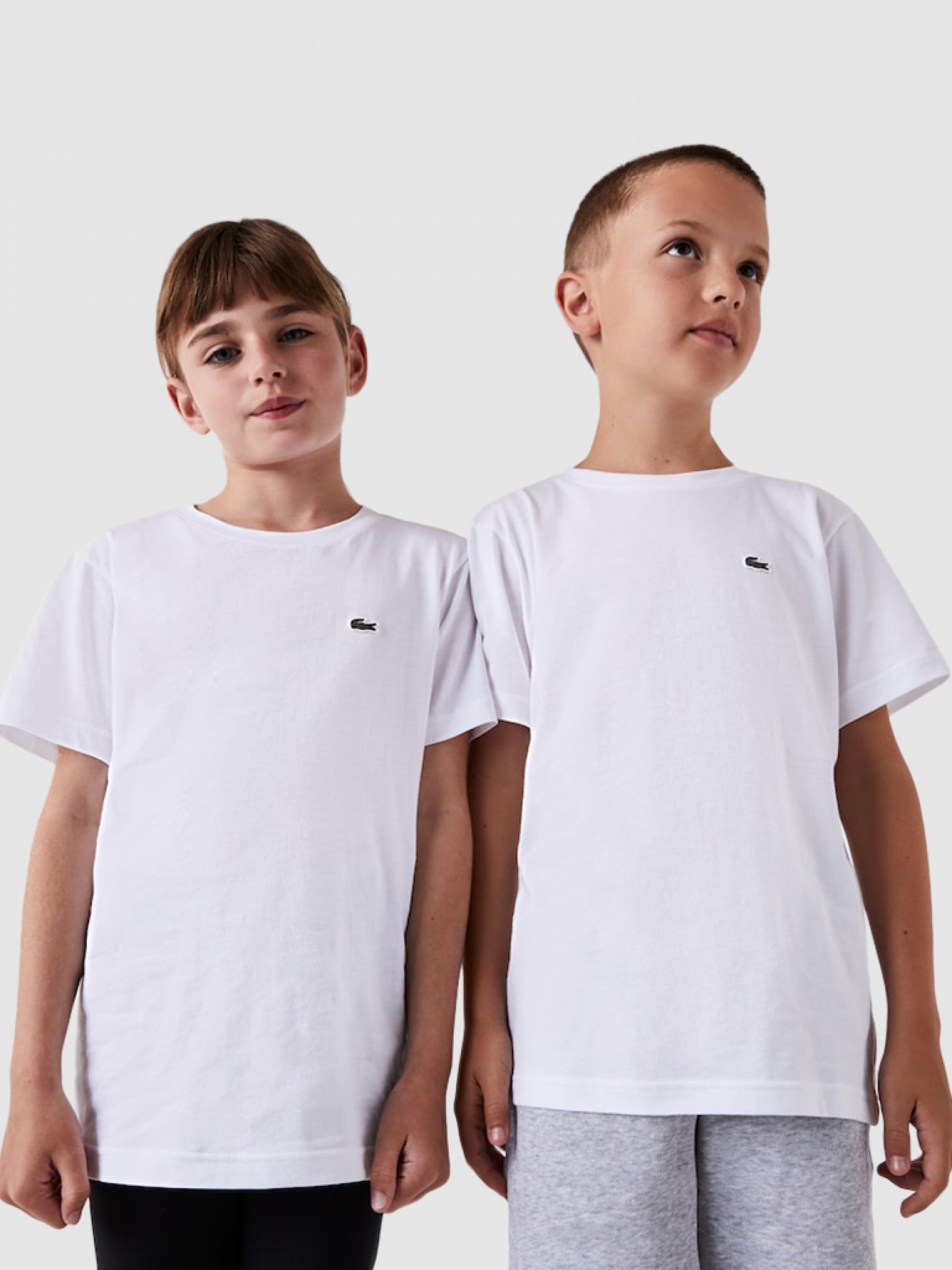 T-Shirt Boy Lacoste