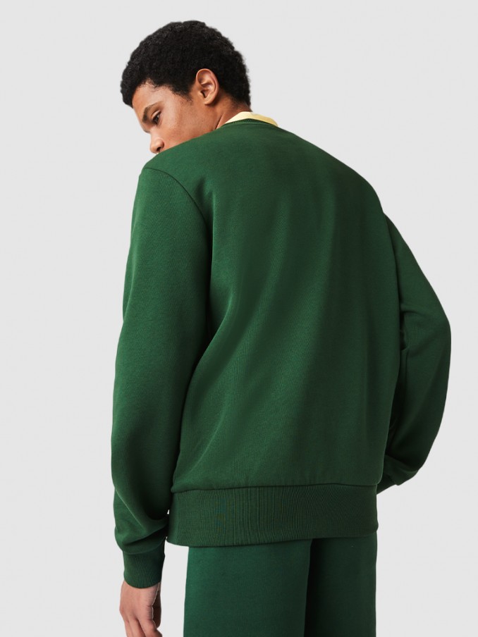 Jumper Man Lacoste