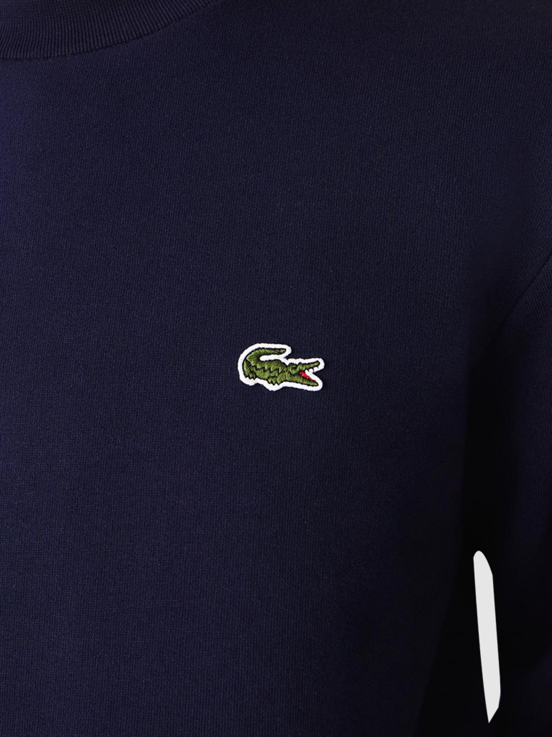 Jumper Man Lacoste