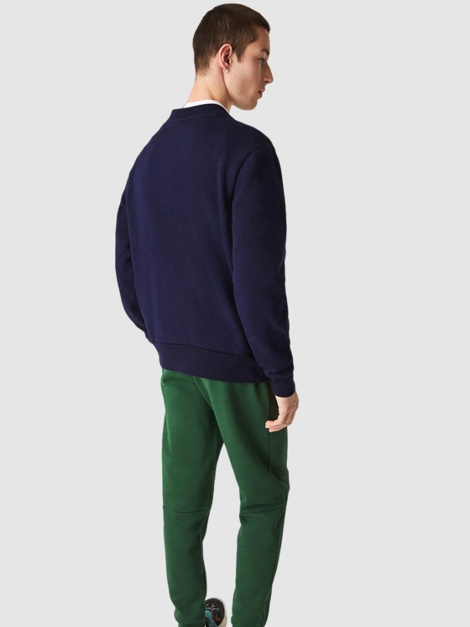 Jumper Man Lacoste