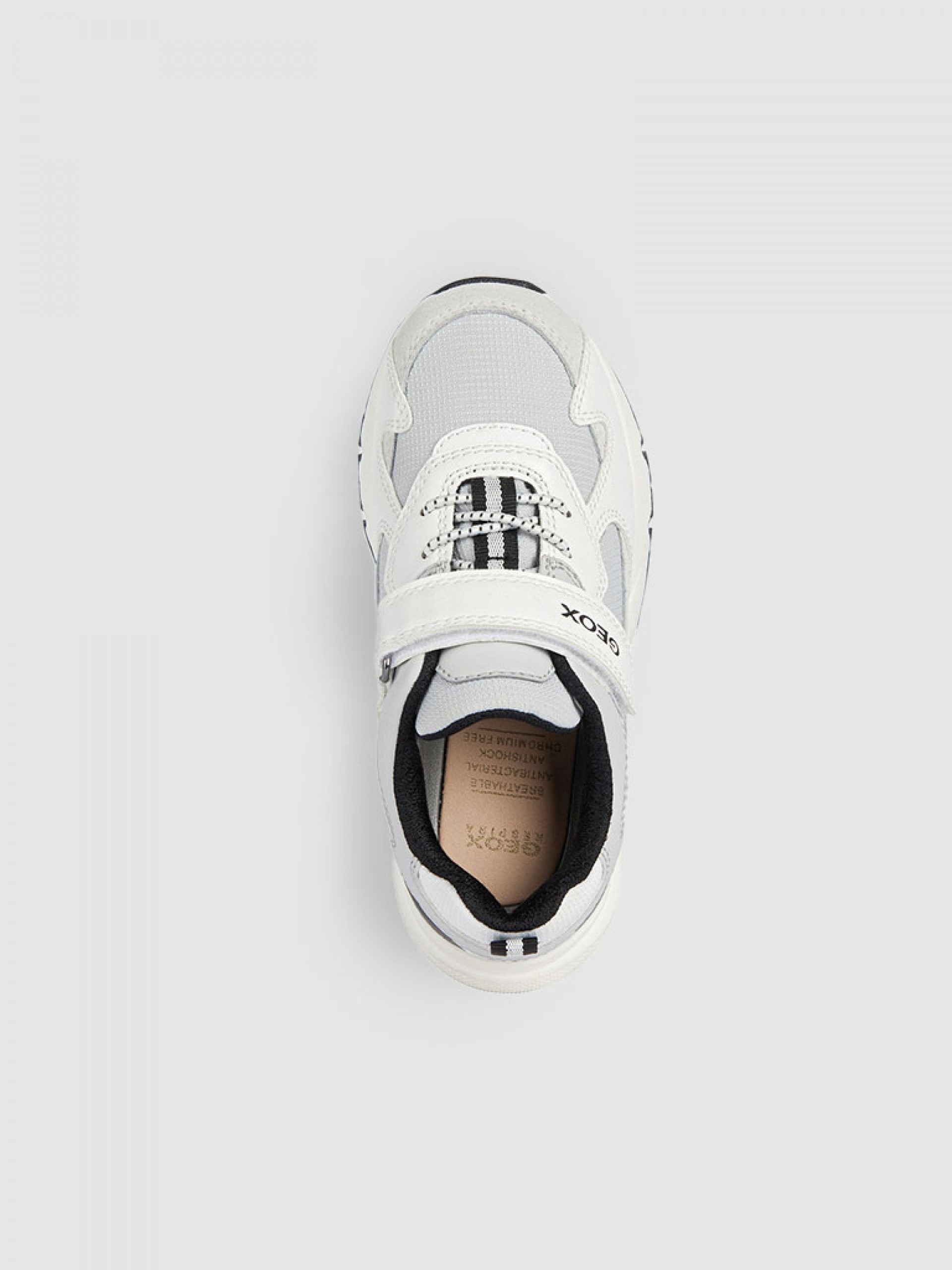 Sneakers Boy Geox