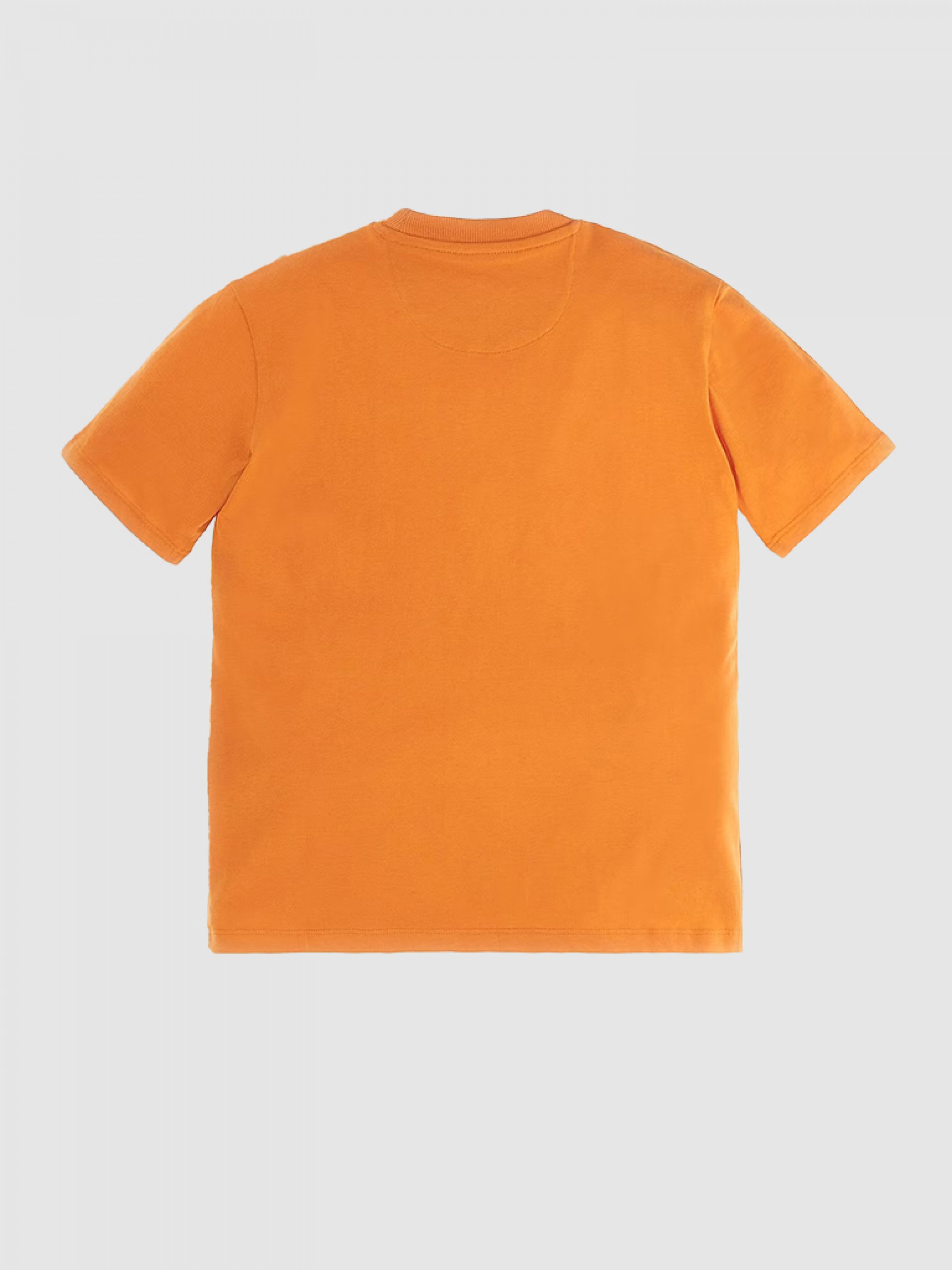 T-Shirt Boy Guess