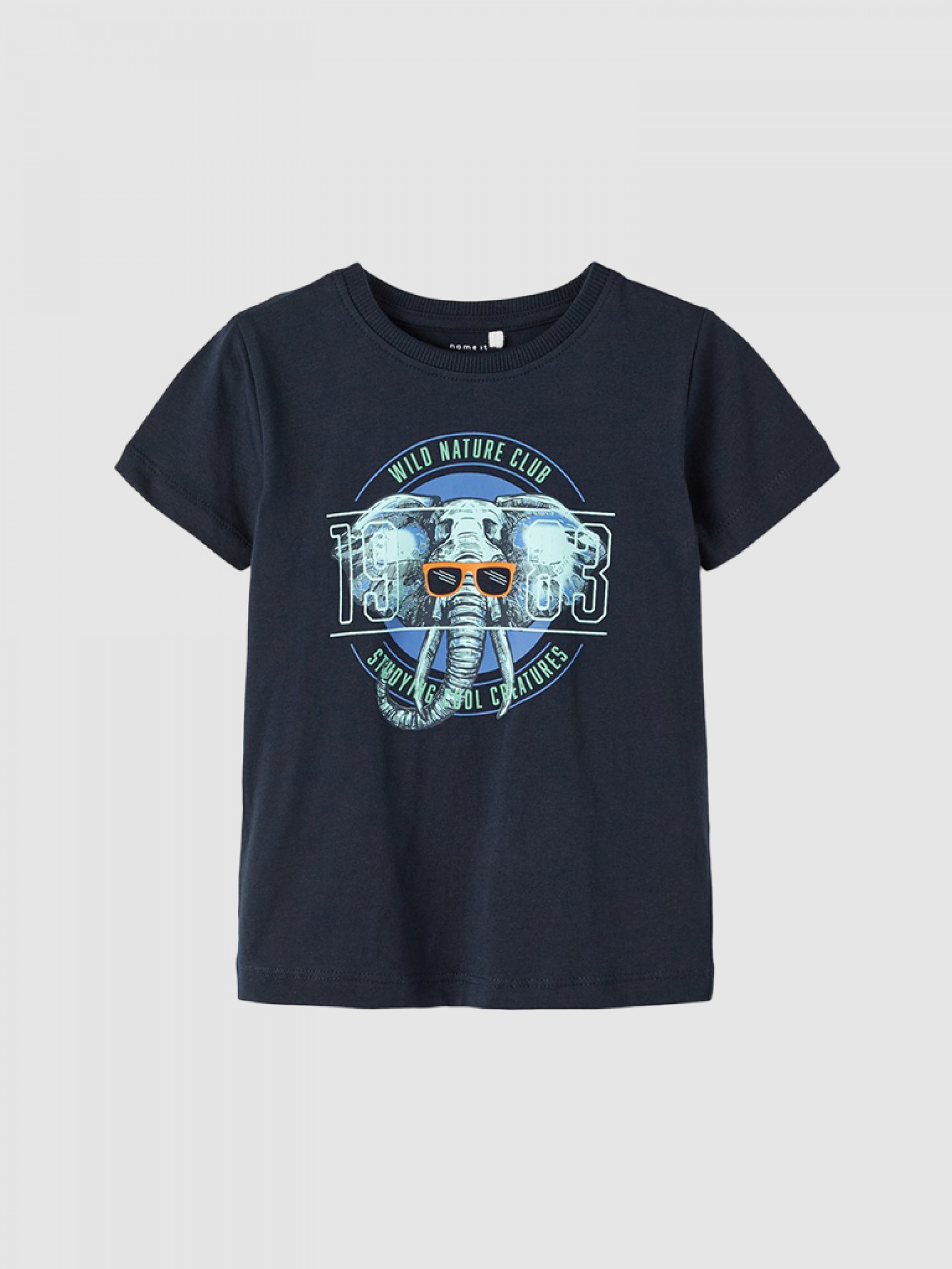 Camiseta Niño Name It