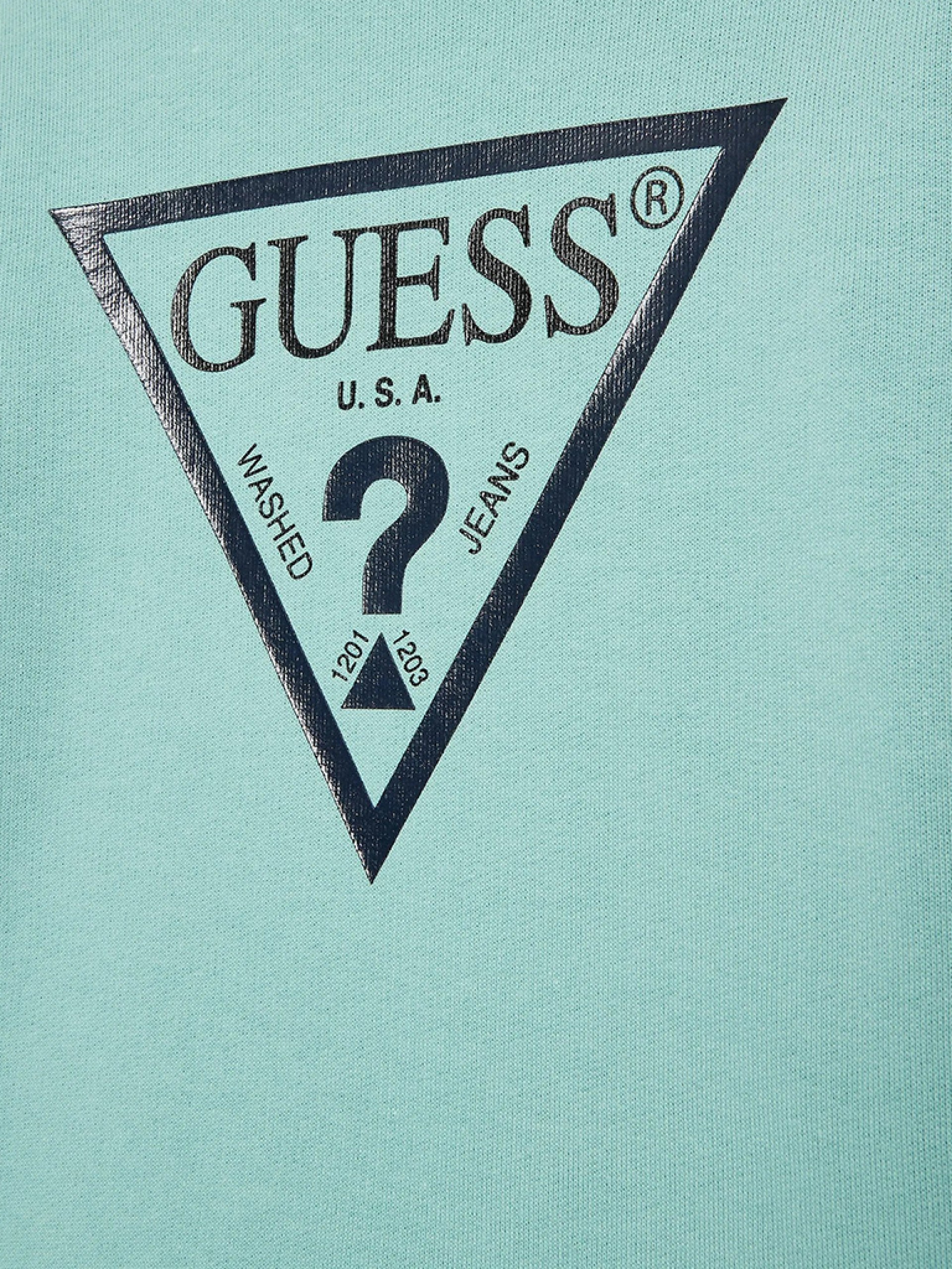 Jumper Boy Guess