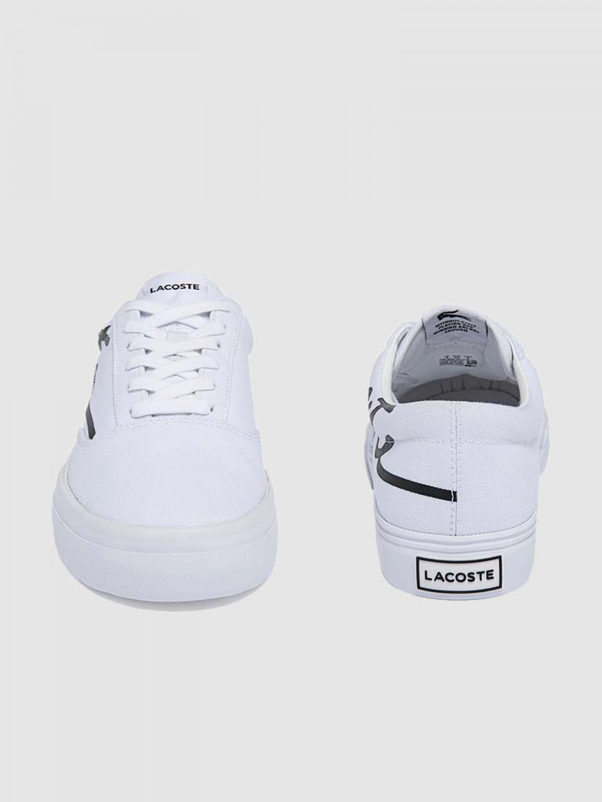 Sneakers Man Lacoste