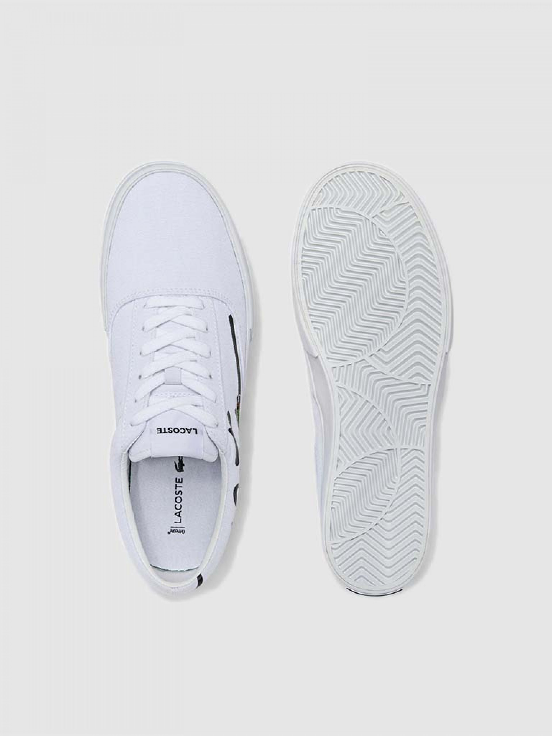 Sneakers Man Lacoste