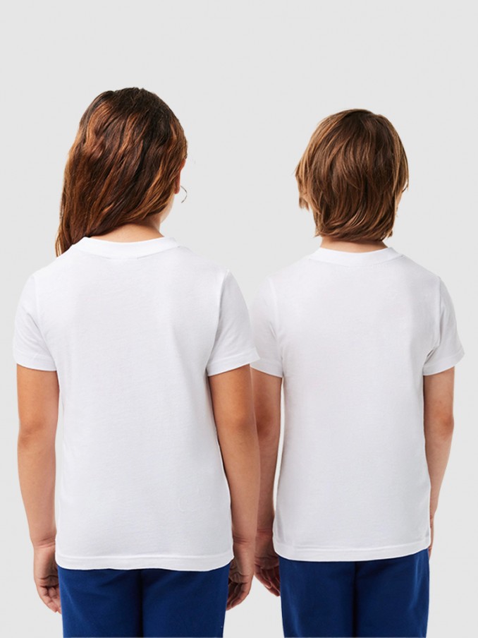 T-Shirt Boy Lacoste