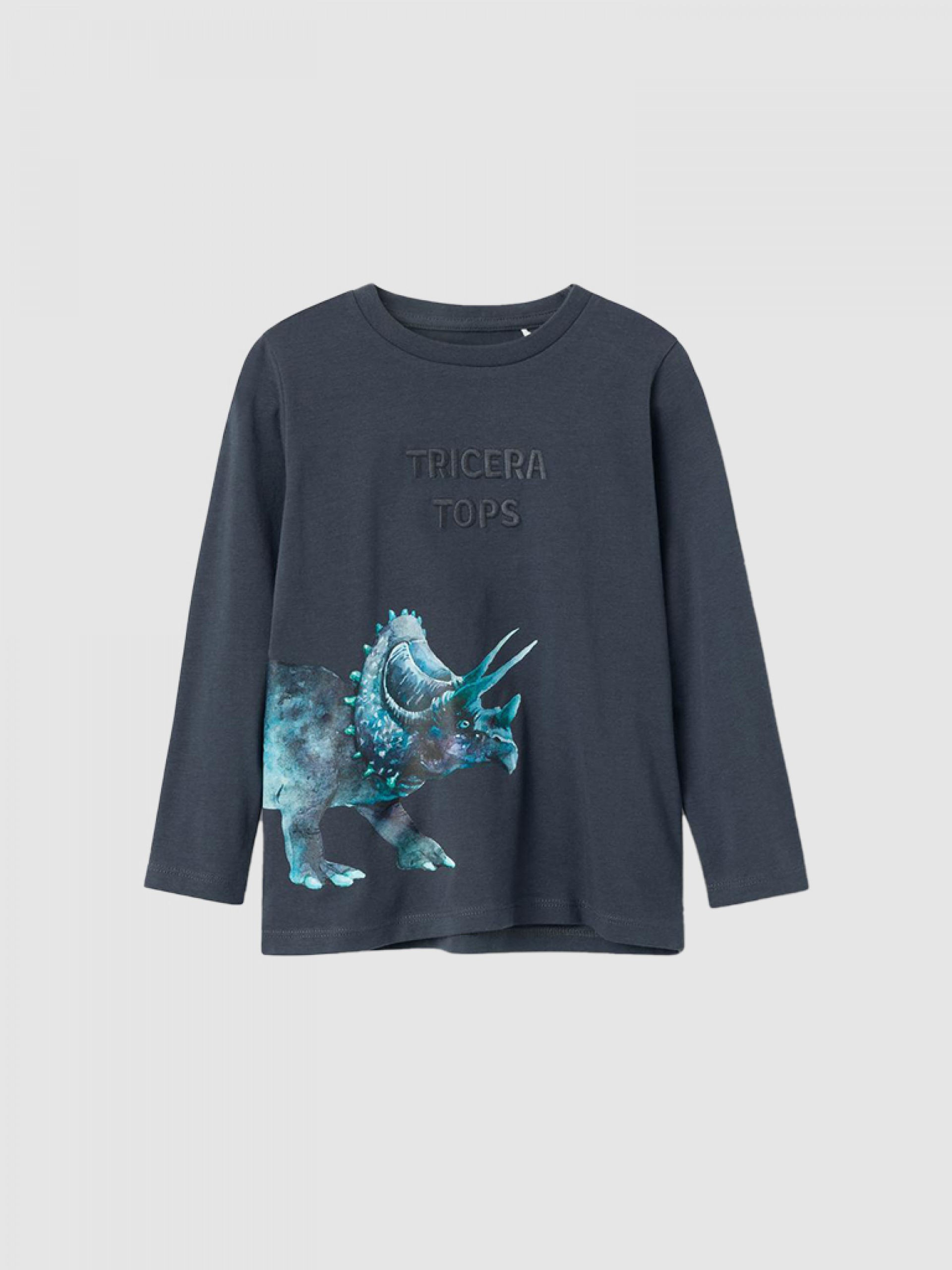 Camiseta Niño Name It