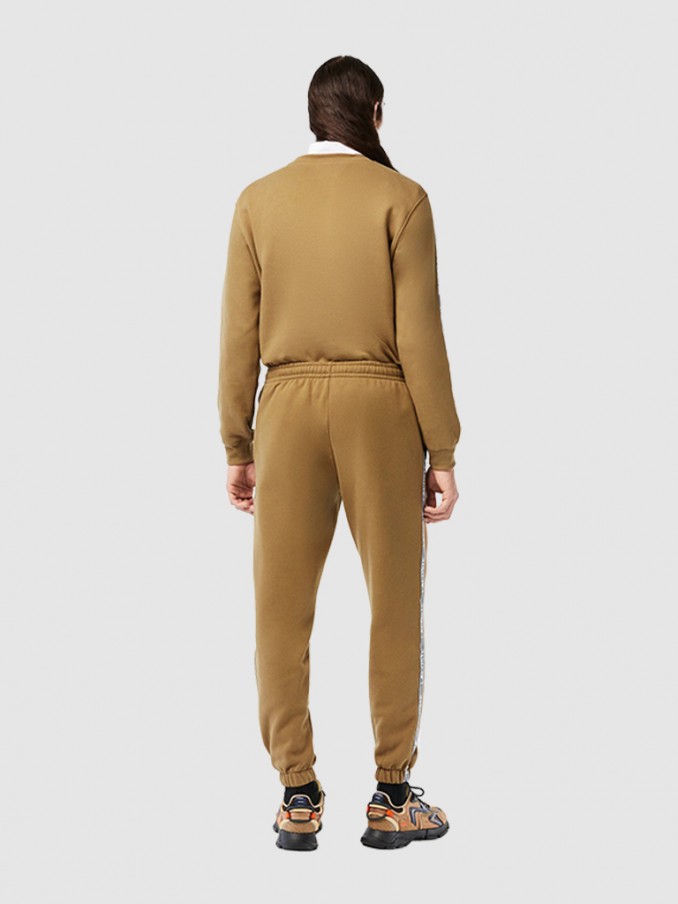 Pants Man Lacoste