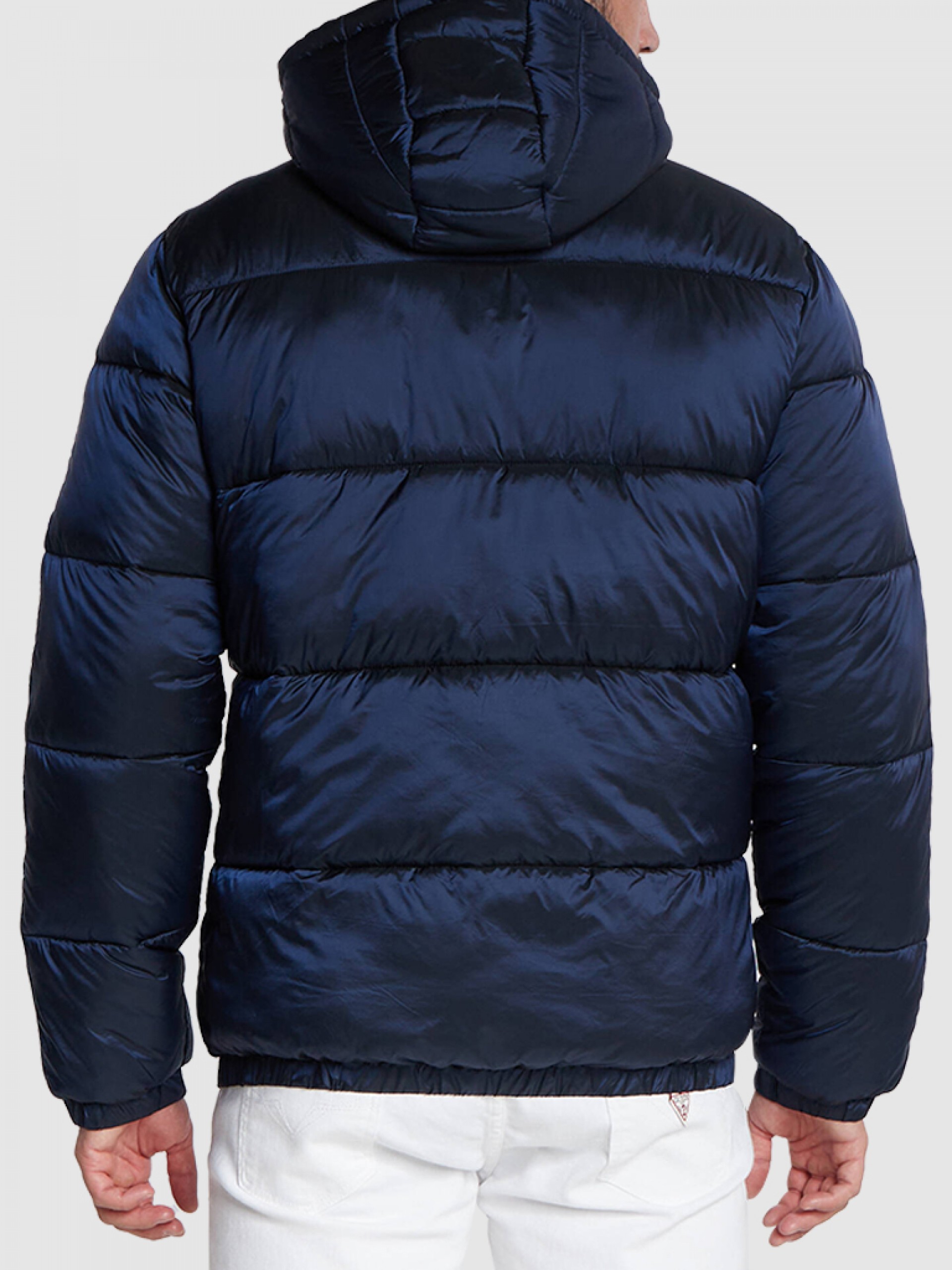 Jacket Man Guess Underwear