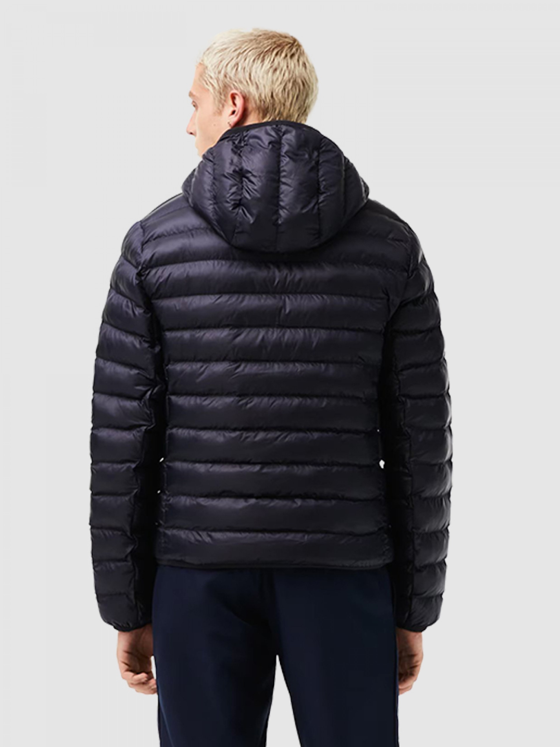Jacket Man Lacoste