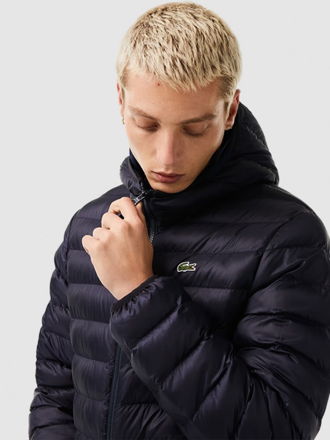 Jacket Man Lacoste