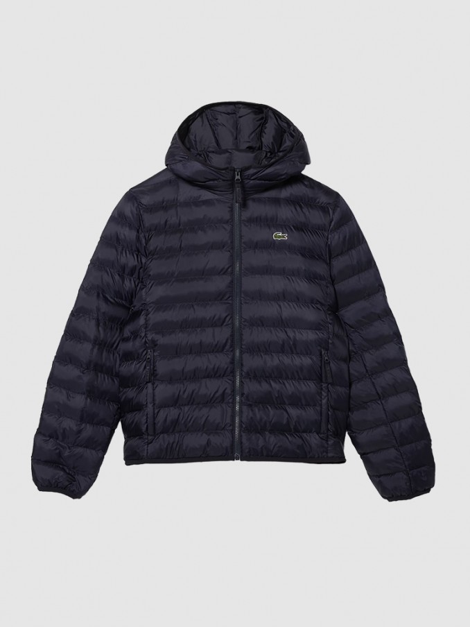 Jacket Man Lacoste