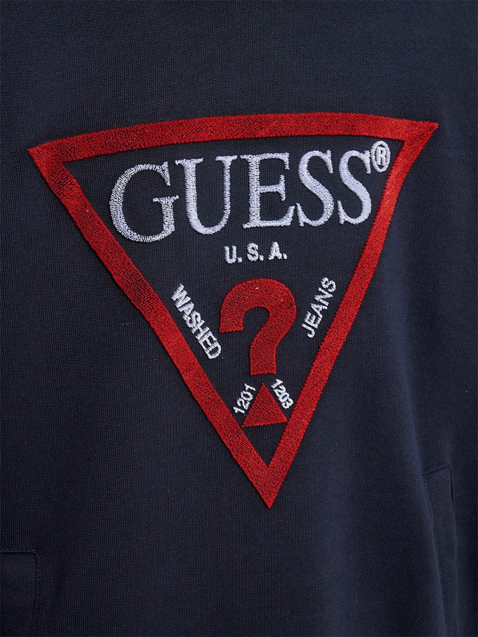 Jumper Boy Guess