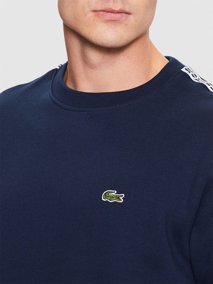 Jumper Man Lacoste