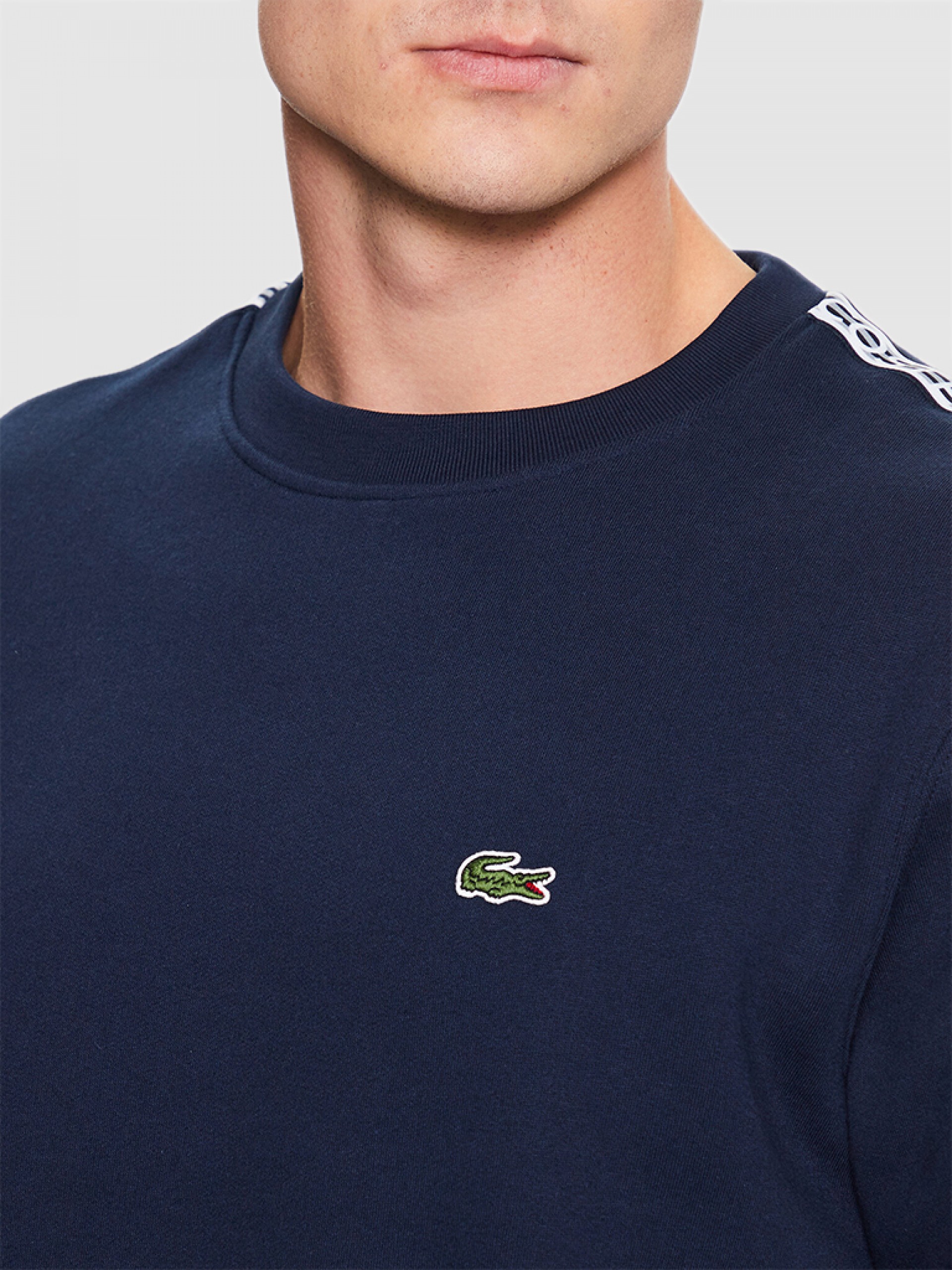 Jumper Man Lacoste