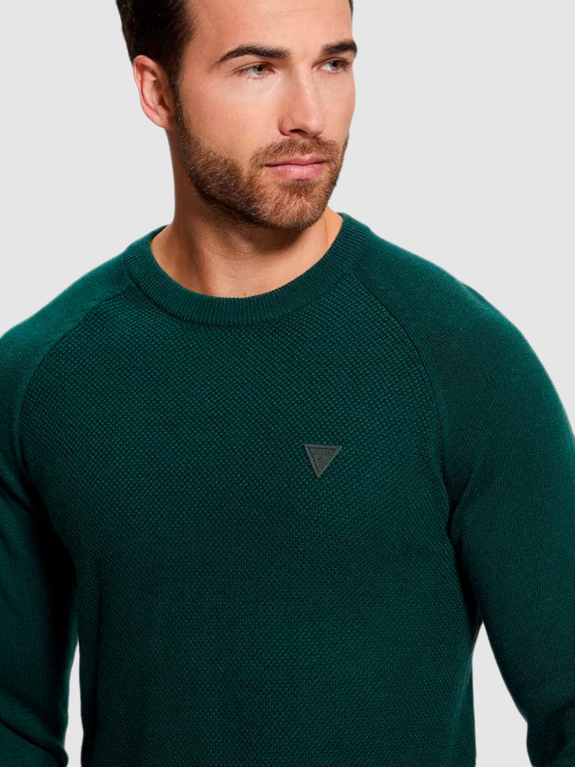 Pullover Man Guess