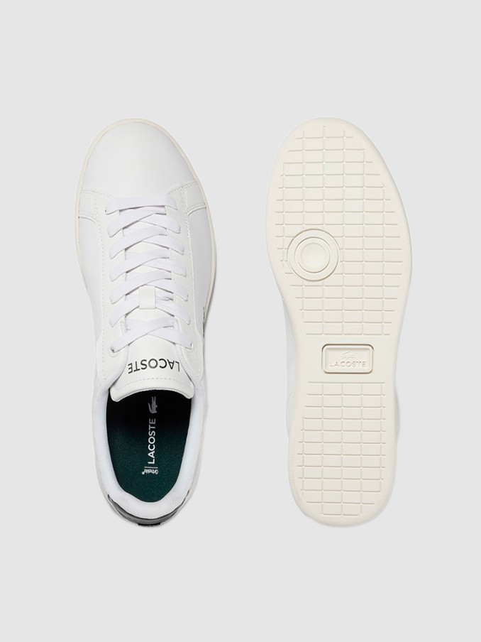 Tenis Hombre Lacoste