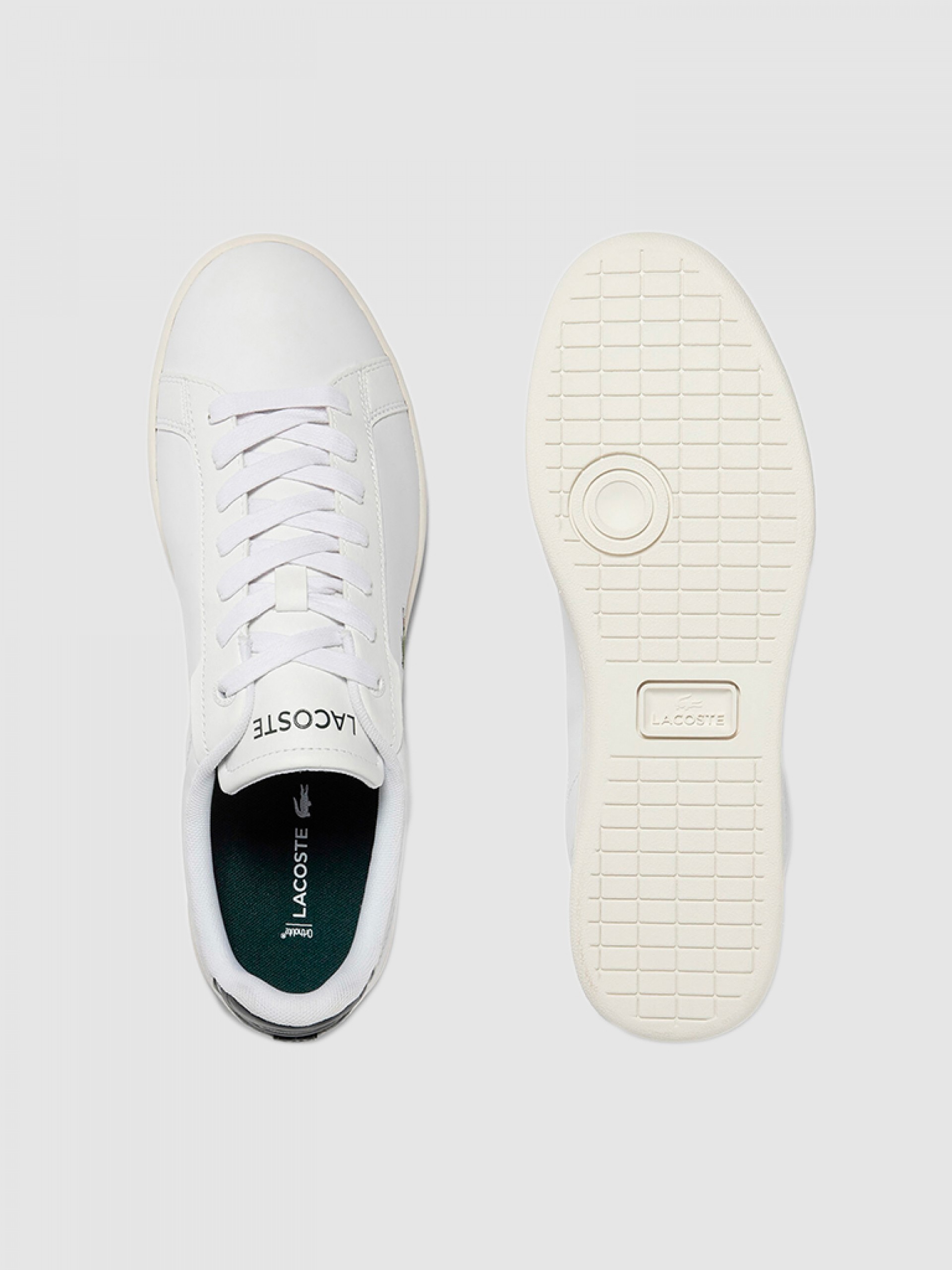 Tenis Hombre Lacoste