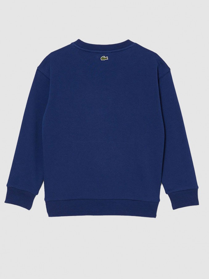 Jumper Boy Lacoste