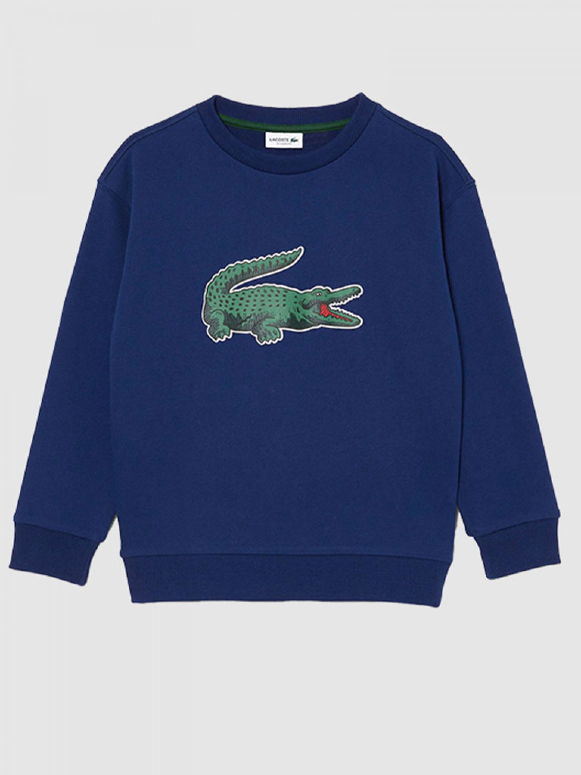 Jumper Boy Lacoste