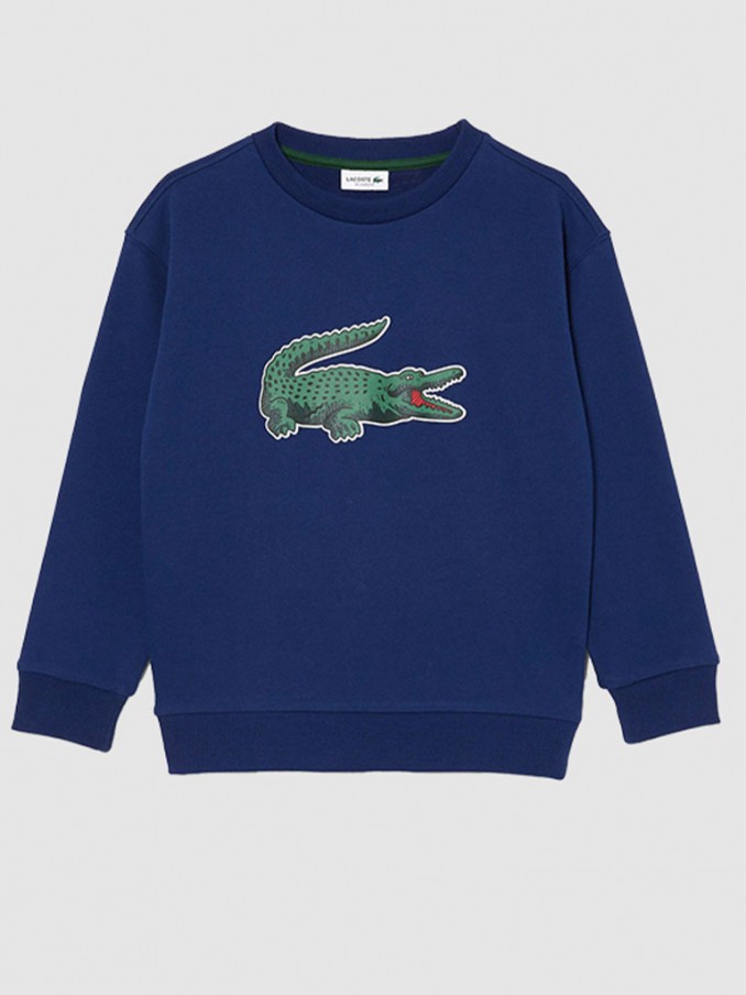 Jumper Boy Lacoste