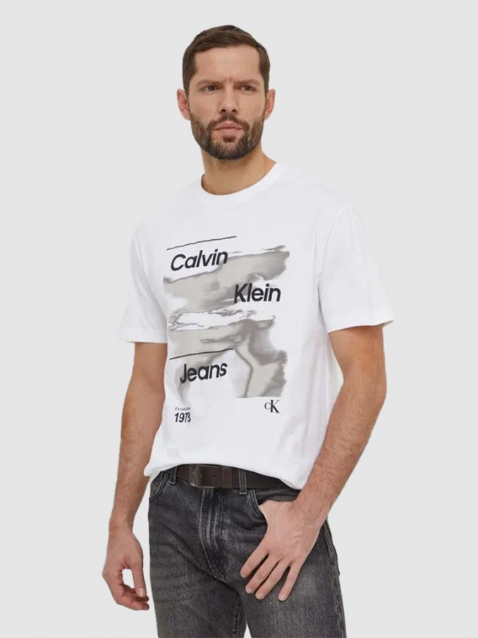 Camiseta Hombre Blanco Calvin Klein