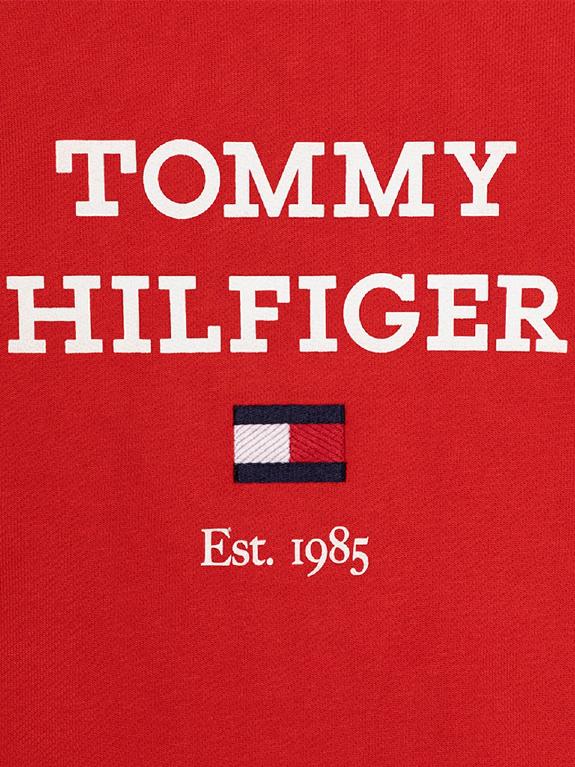 Jumper Boy Tommy Jeans Kids