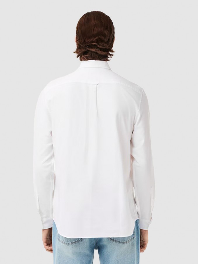Shirt Man Lacoste