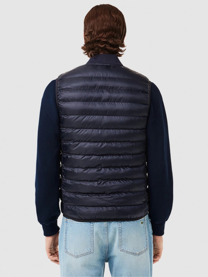 Jacket Man Lacoste