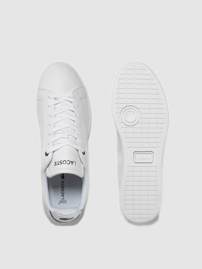 Sneakers Man Lacoste