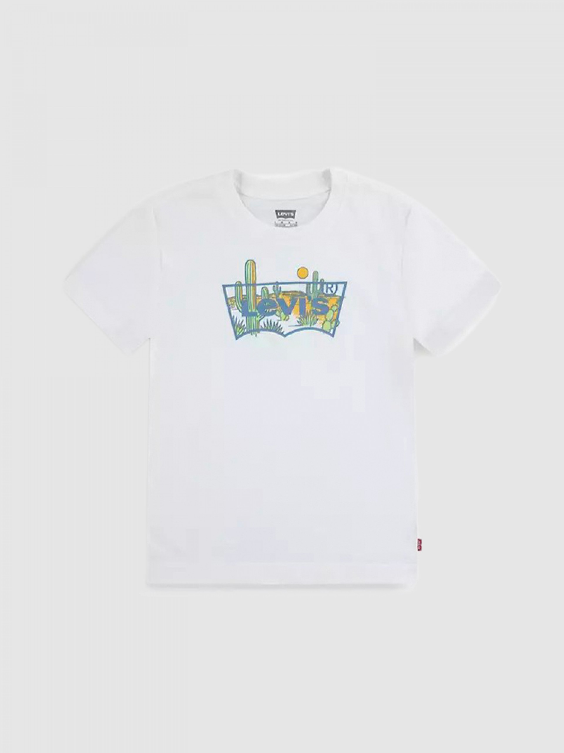 T-Shirt Boy Levis