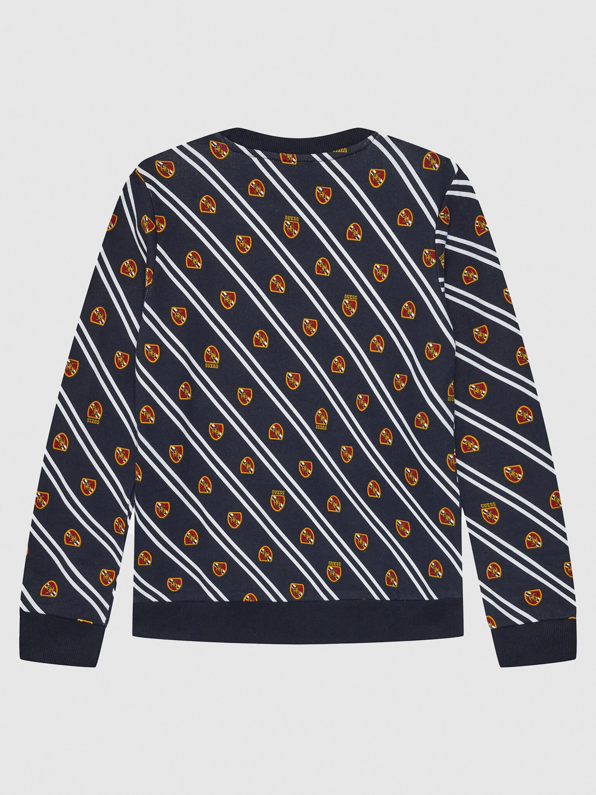 Jumper Boy Guess
