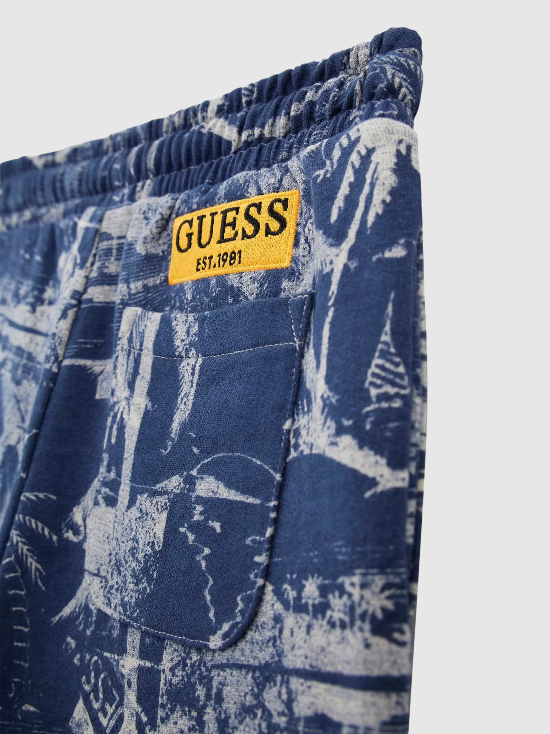 Shorts Boy Guess